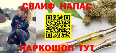 винт Партизанск